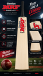CG Premium English Willow Bat