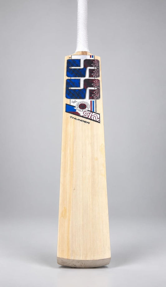 SS Kashmiri Willow cricket bat