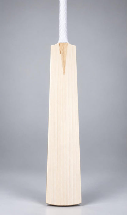 CG Sports English Willow cricket bat