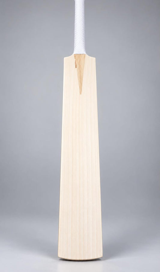 CG Sports English Willow cricket bat