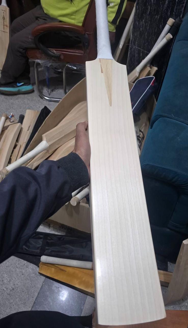 CG Sports English Willow Cricket Bat additional product view